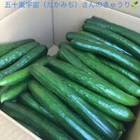 画像255