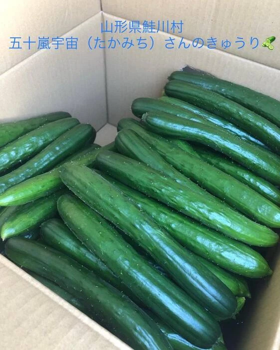 画像255